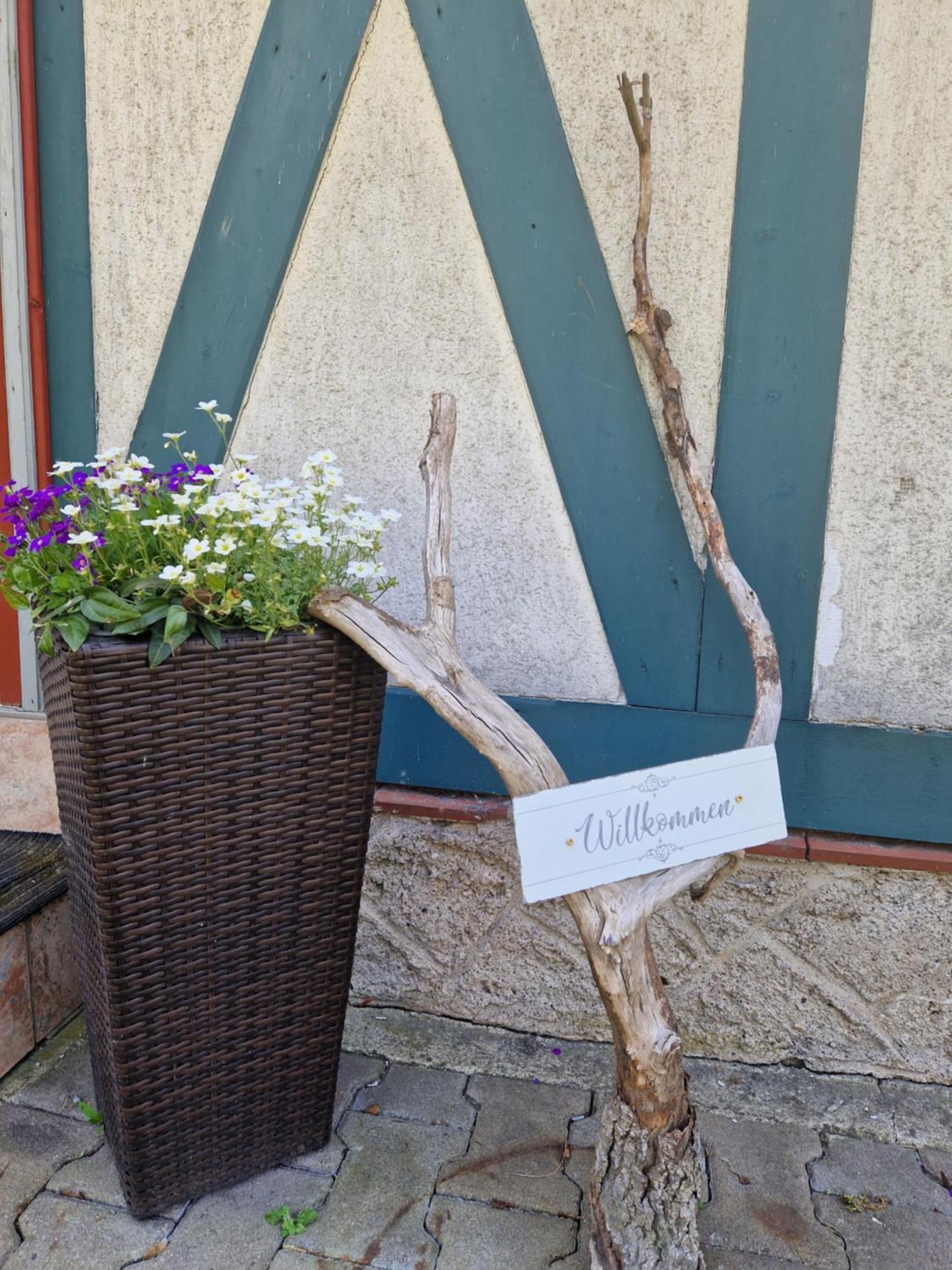 Waldblick Apartment *
