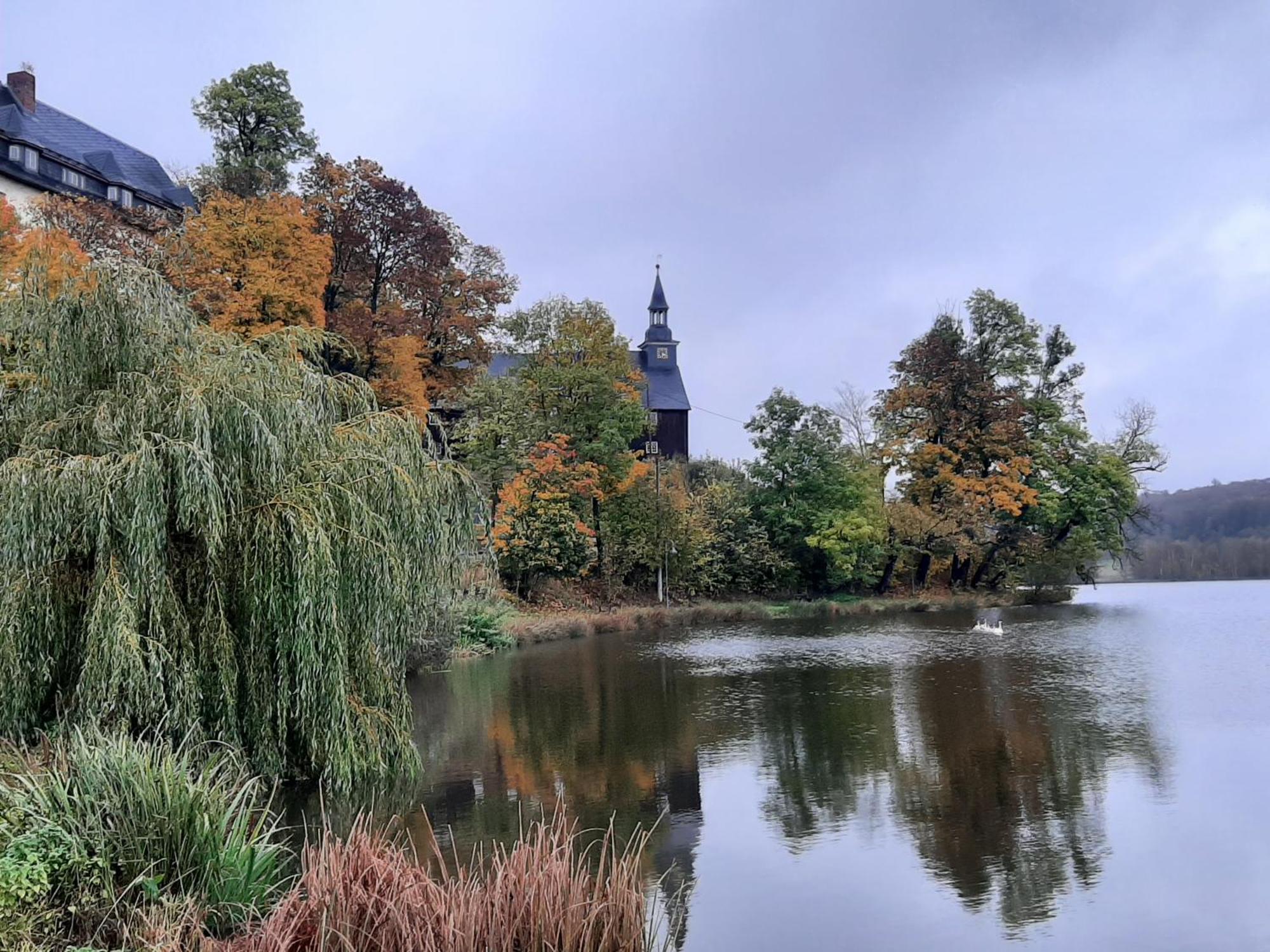 Apartment Waldblick Stiege